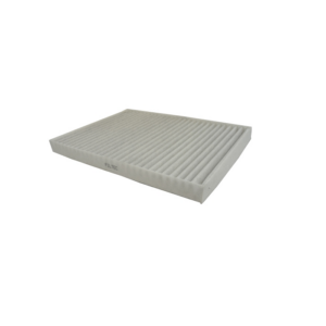 FILTRO POLEN RENAULT KOLEOS 2.5 2009/2018