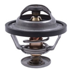 TERMOSTATO CITROEN C15 1.9 1995/1998